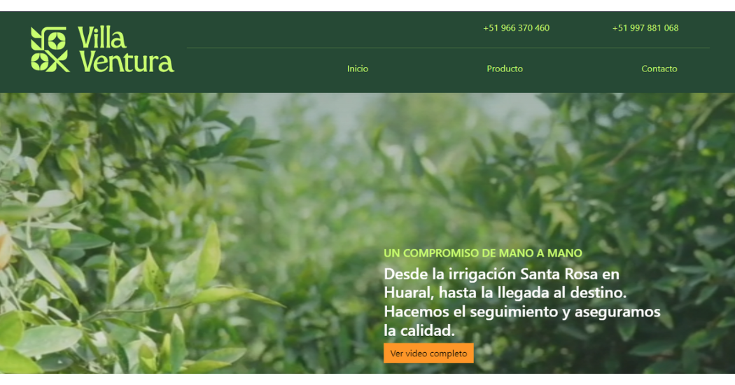 Proyecto 1